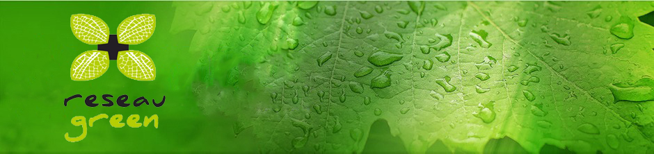 Le logo de la société Réseau Green